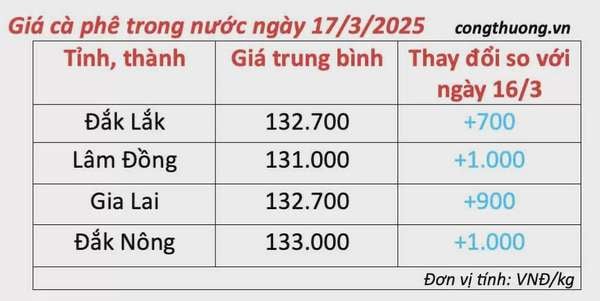 Dự báo giá cà phê ngày mai 18/3/2025 tăng trở lại