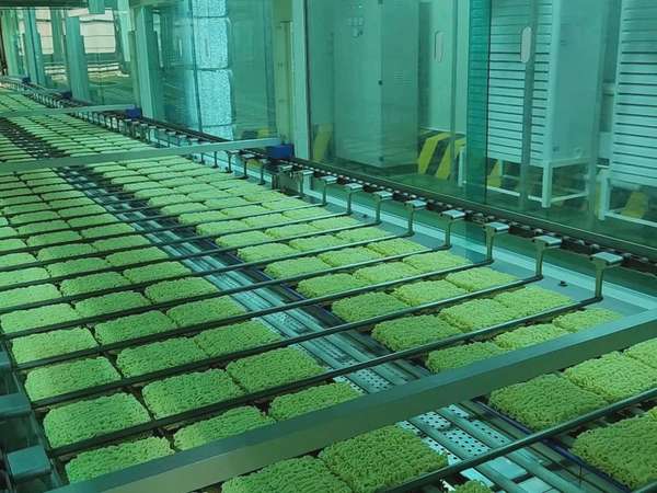 Quy trình sản xuất mì đạt tiêu chuẩn MUI Halal tại Ottogi Việt Nam. Ảnh: Ottogi Việt Nam