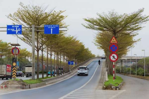 Hà Nội 'mặc áo vàng' mùa thay lá, đẹp như trời Âu Hà Nội 'mặc áo vàng' mùa thay lá, đẹp như trời Âu