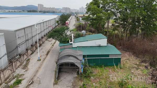 Quảng Ninh: Vì sao nhiều hộ dân 'bị bỏ rơi' ở TP. Móng Cái