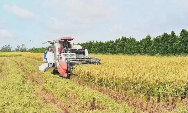Bộ trưởng Nguyễn Hồng Diên: Bảo đảm nguồn cung, ổn định thị trường lúa gạo trong nước