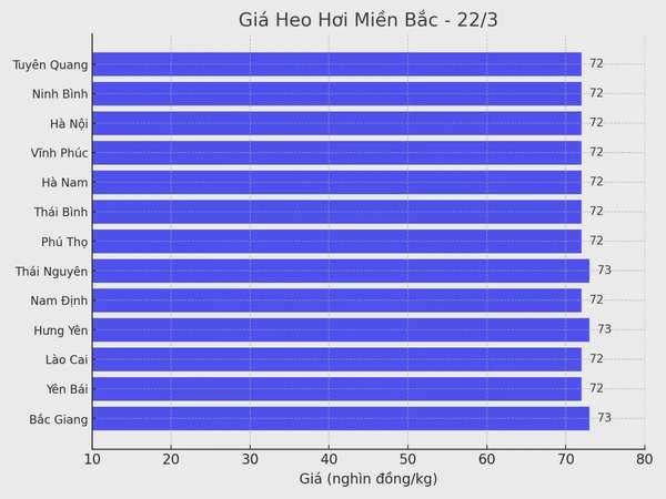 Biểu đồ giá heo hơi tại các tỉnh miền Bắc ngày 22/3.