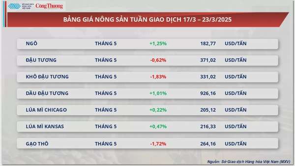 Giá cà phê Robusta vẫn neo ở vùng giá cao lịch sử