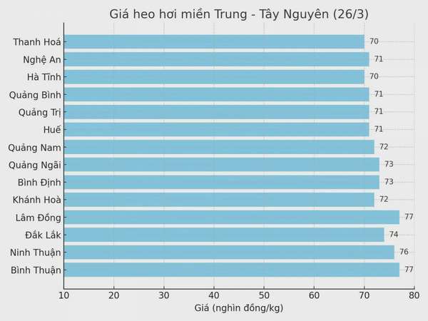 Biểu đồ giá heo hơi tại các tỉnh miền Trung - Tây Nguyên ngày 26/3.