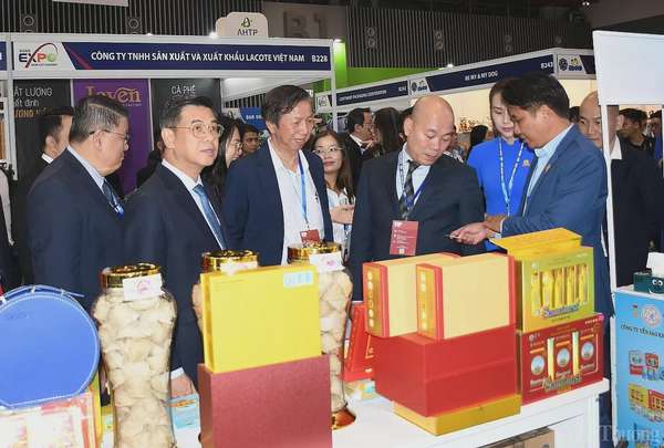HCM City Export 2025: Kết nối giao thương, mở rộng xuất khẩu