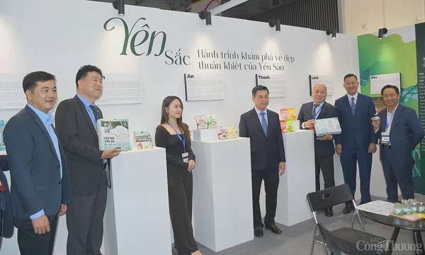 HCM City Export 2025: Kết nối giao thương, mở rộng xuất khẩu