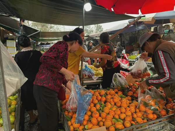 Tiểu thương thu lợi từ loại quả này.