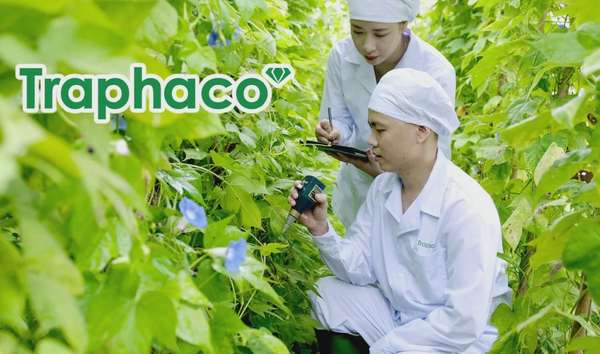 Traphaco dẹp bỏ chi nhánh cấp hai, chuyển mình theo công nghệ