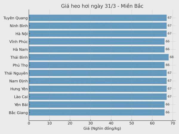 Biểu đồ giá heo hơi tại các tỉnh miền Bắc ngày 31/3.