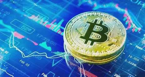 Pishop rơi tự do: Nhà đầu tư có đang đặt cược sai?