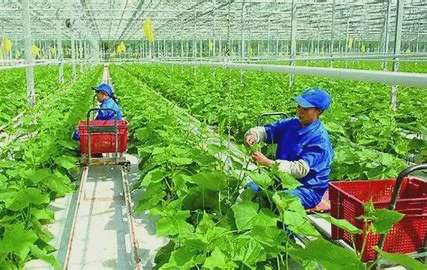 Thế giới “vượt rào” thuế quan: Kịch bản cho Việt Nam?