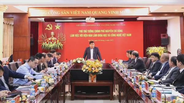 Toàn cảnh