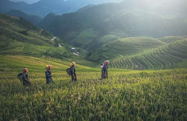 Du khách thích thú khi được trải nghiệm cuộc sống người dân vùng Tây bắc. Ảnh minh họa: CTV