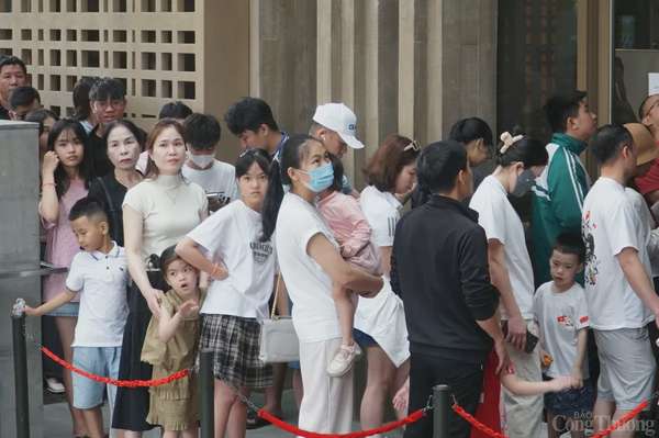 Xếp hàng vòng ngoài, vòng trong để đợi vào tham quan Bảo tàng Đà Nẵng