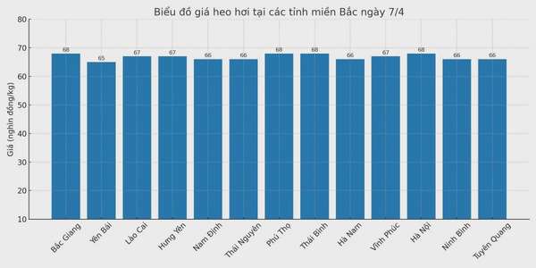 Biểu đồ giá heo hơi tại các tỉnh miền Bắc ngày 7/4.
