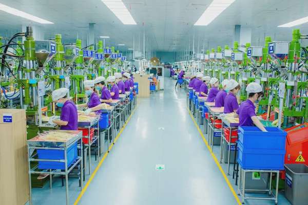 Tỉnh Nghệ An: Hiệu quả trong việc thực hiện các FTA