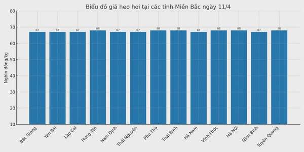 Biểu đồ giá heo hơi tại các tỉnh miền Bắc ngày 11/4.