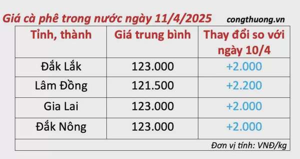 Dự báo giá cà phê ngày mai 12/4/2025, thị trường tăng nhẹ
