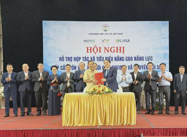Hợp tác xã Việt: Khát vốn, thiếu công nghệ, cần niềm tin