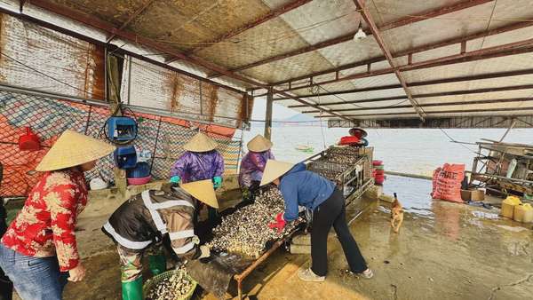 15 ngân hàng dành 100.000 tỷ đồng cho vay nông, lâm, thủy sản