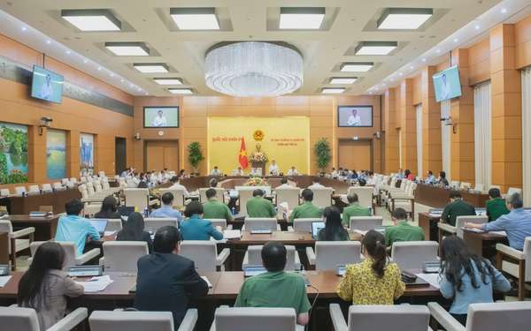 Cho ý kiến về 4 dự án luật trong lĩnh vực tương