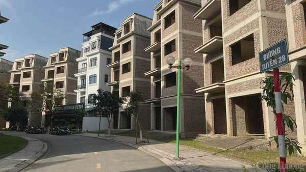 Loạt biệt thự bỏ hoang ở ngoại thành Hà Nội