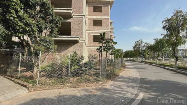 Loạt biệt thự bỏ hoang ở ngoại thành Hà Nội