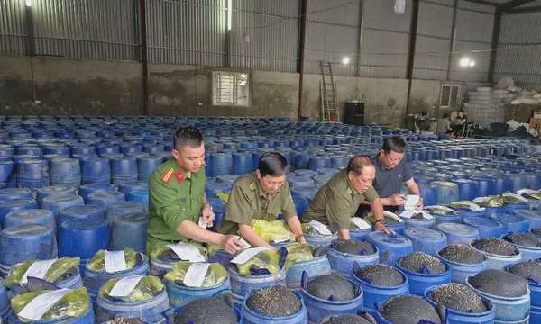 giá đỗ ngâm hóa chất