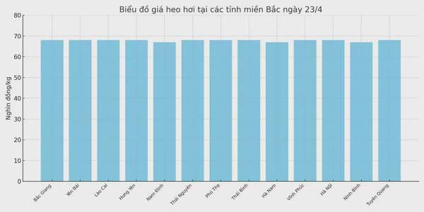 Biểu đồ giá heo hơi tại các tỉnh miền Bắc ngày 23/4.