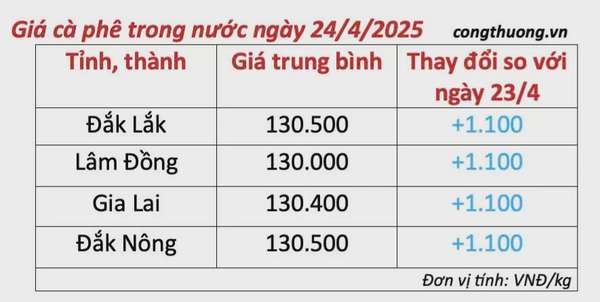 Dự báo giá cà phê ngày mai 25/4/2025, trong nước đà tăng