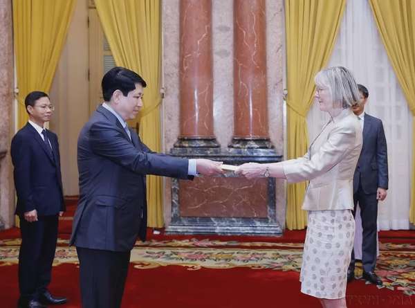 Chủ tịch nước Lương Cường: Việt Nam luôn coi trọng và củng cố quan hệ kinh tế với các nước