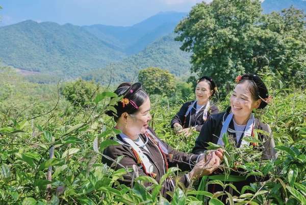 Sáp nhập Vĩnh Phúc, Phú Thọ, Hòa Bình: Bài cuối- Gắn kết bản sắc, khơi dậy lòng dân