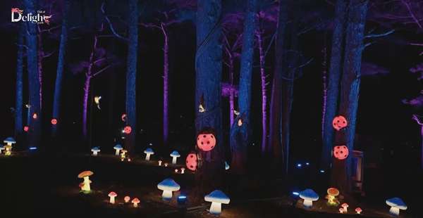 Delight Park Đà Lạt: Không gian trải nghiệm độc đáo tại Thành phố ngàn hoa