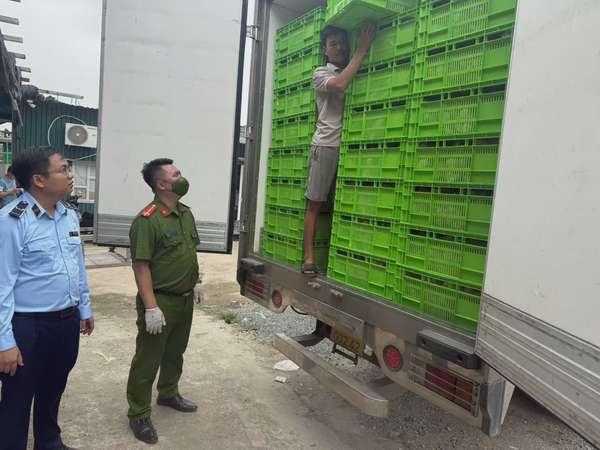 Hà Nội tạm giữ hơn 18 tấn gà không rõ nguồn gốc