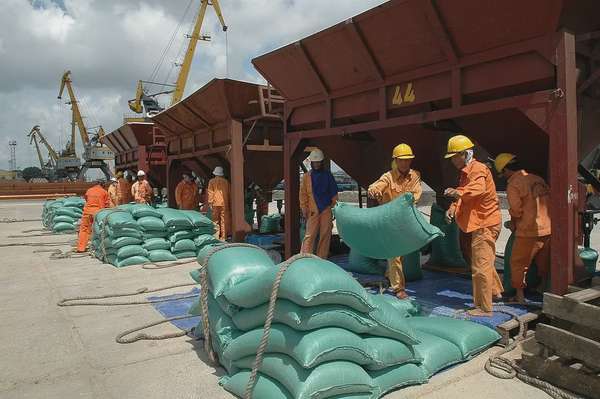 Danh sách thương nhân kinh doanh xuất khẩu gạo tính đến 28/4/2025