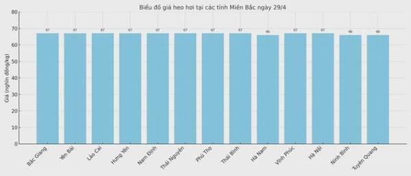 Biểu đồ giá heo hơi tại các tỉnh miền Bắc ngày 29/4.