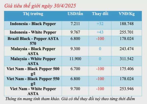 Dự báo giá tiêu trong nước ngày mai 1/5/2025, đi ngang