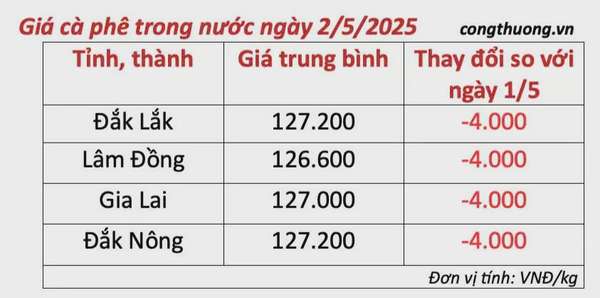 Dự báo giá cà phê ngày mai 3/5/2025, thị trường tăng