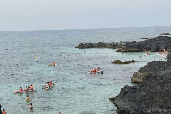 Trải nghiệm chèo SUP, thuyền kayak, chèo thuyền thúng