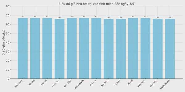 Biểu đồ giá heo hơi tại các tỉnh miền Bắc ngày 3/5.