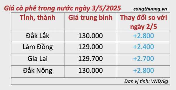 Dự báo giá cà phê ngày mai 4/5/2025, thị trường đà tăng