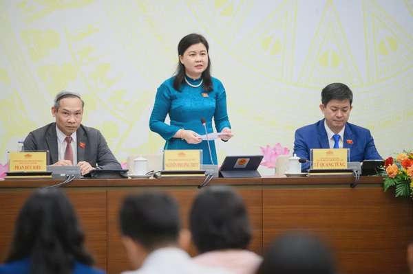 Phó Chủ nhiệm Ủy ban Pháp luật và Tư pháp Nguyễn Phương Thủy