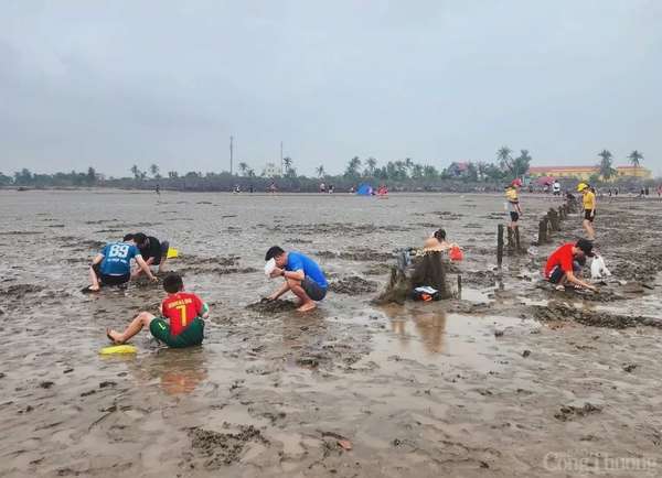 Hải Phòng: Đảo Cát Bà đón 107.850 lượt khách dịp nghỉ lễ