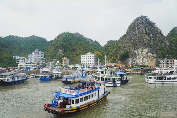 Hải Phòng: Đảo Cát Bà đón 107.850 lượt khách dịp nghỉ lễ