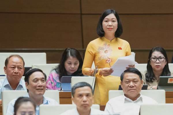 Đại biểu Nguyễn Thị Lan Anh - Đoàn ĐBQH tỉnh Lào Cai