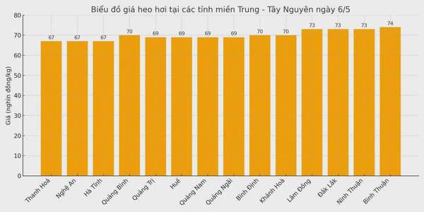Biểu đồ giá heo hơi tại các tỉnh miền Trung - Tây Nguyên ngày 6/5.