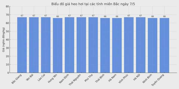 Biểu đồ giá heo hơi tại các tỉnh miền Bắc ngày 7/5.