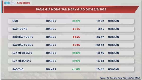 Giá cà phê Arabica tiến sát mốc 8.600 USD/tấn