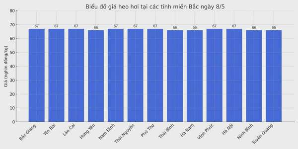 Biểu đồ giá heo hơi tại các tỉnh miền Bắc ngày 8/5.