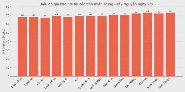 Biểu đồ giá heo hơi tại các tỉnh miền Trung - Tây Nguyên ngày 9/5.
